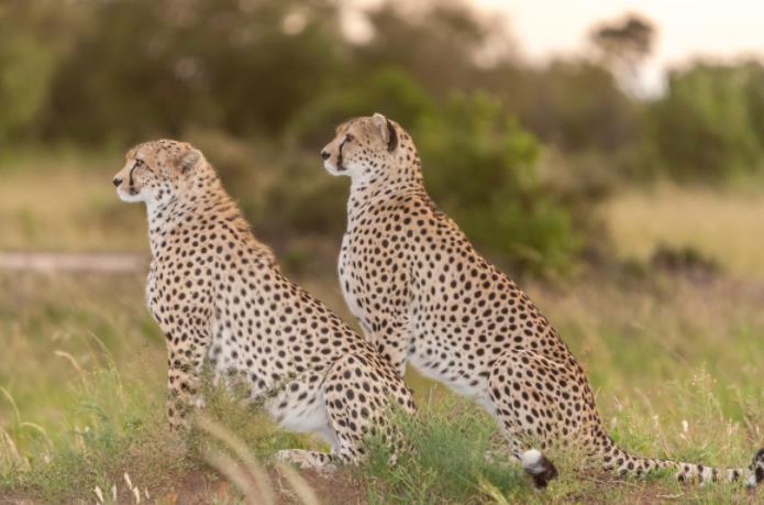 105221251609.jpg 105221251609.jpg