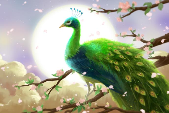 251105221449865.jpg 251105221449865.jpg